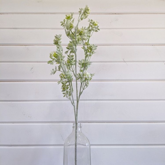 𝚖𝚊𝚍𝚒 - Picture 3 of 5